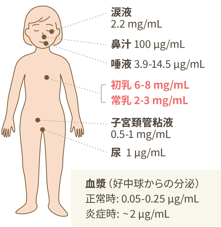 ラクトフェリン