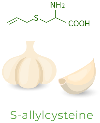 S-allycysteine