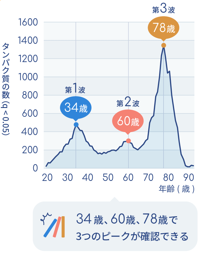 老化タンパク質のピーク（図）