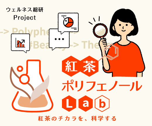 紅茶ポリフェノールLab
